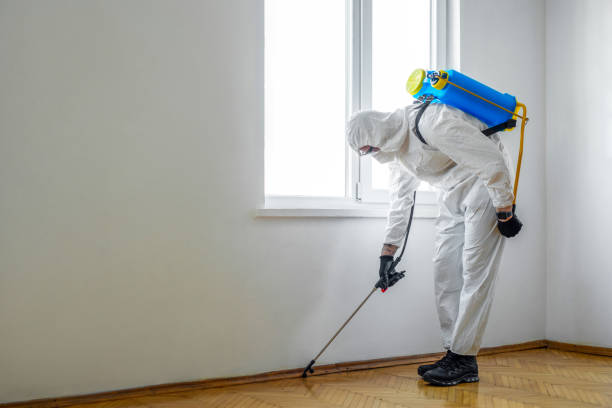 Best Pest Control for Warehouses  in North Merrick, NY